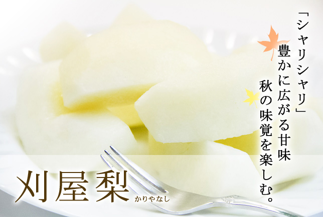 シャリシャリ。豊かに広がる甘味。秋の味覚を味わう。「刈屋梨」