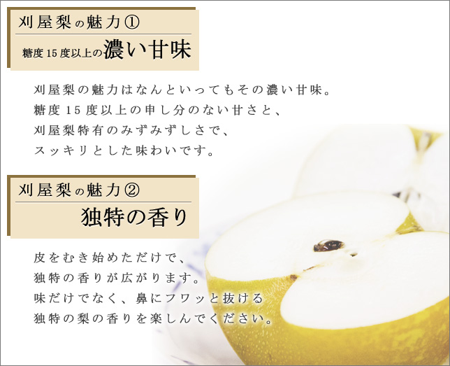 刈屋梨の魅力