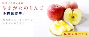 画像に alt 属性が指定されていません。ファイル名: top-main-apple-300x126.jpg