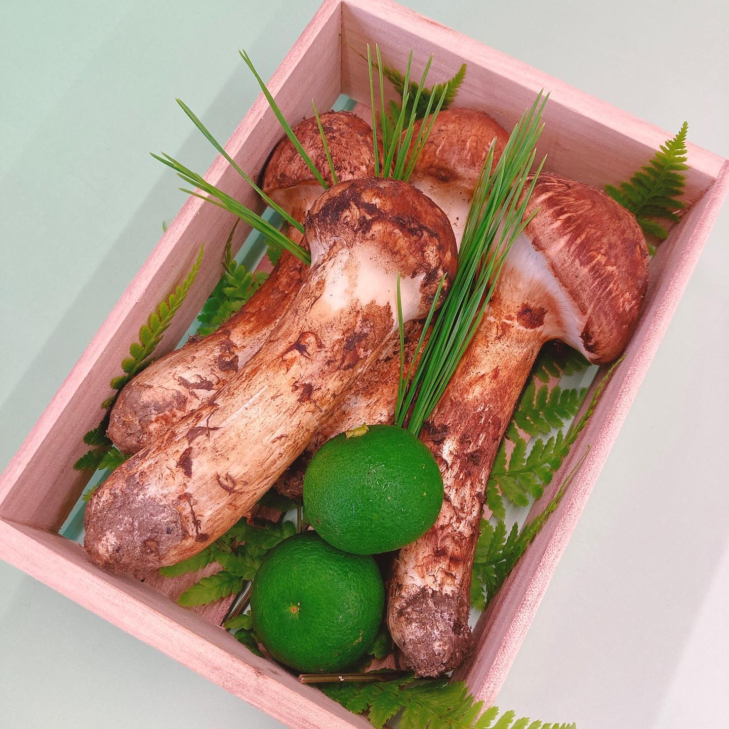 2025年 まつたけのご注文受付は終了しました。 - 黒田吉五郎商店│山形